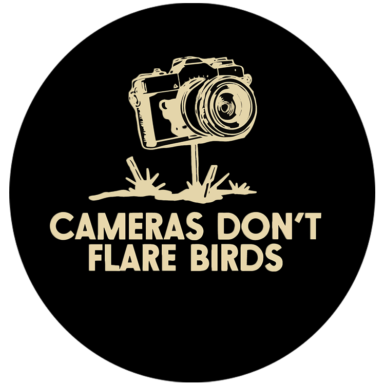 CDFB Camera Sticker