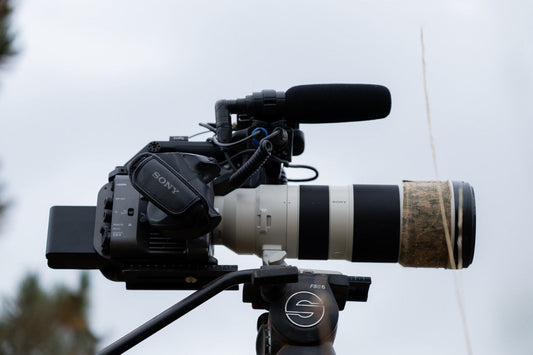 What Is It About Photography?