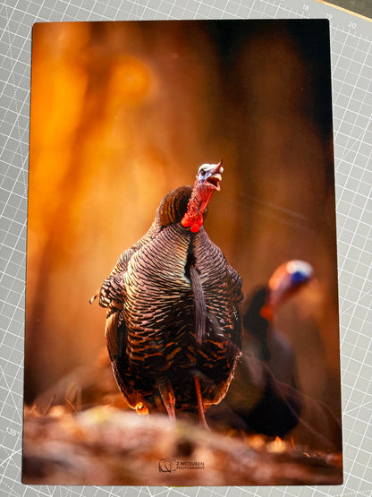 Custom Metal Print