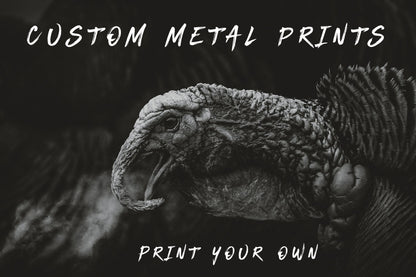 Custom Metal Print