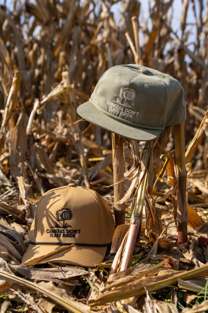 CDFB Ball Cap